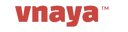 Vnaya